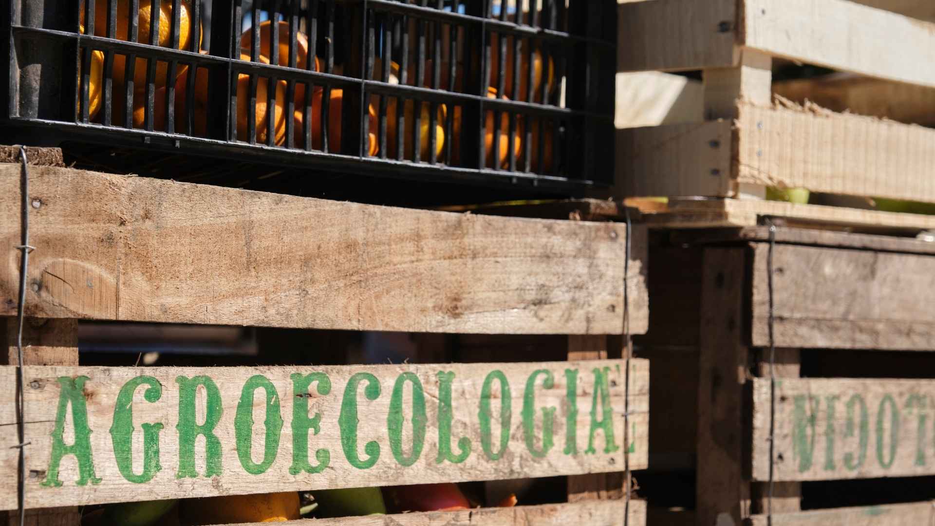 L’Agroécologie : pourquoi et comment passer à une agriculture régénératrice ?