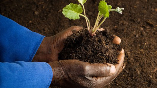 Responsable environnement