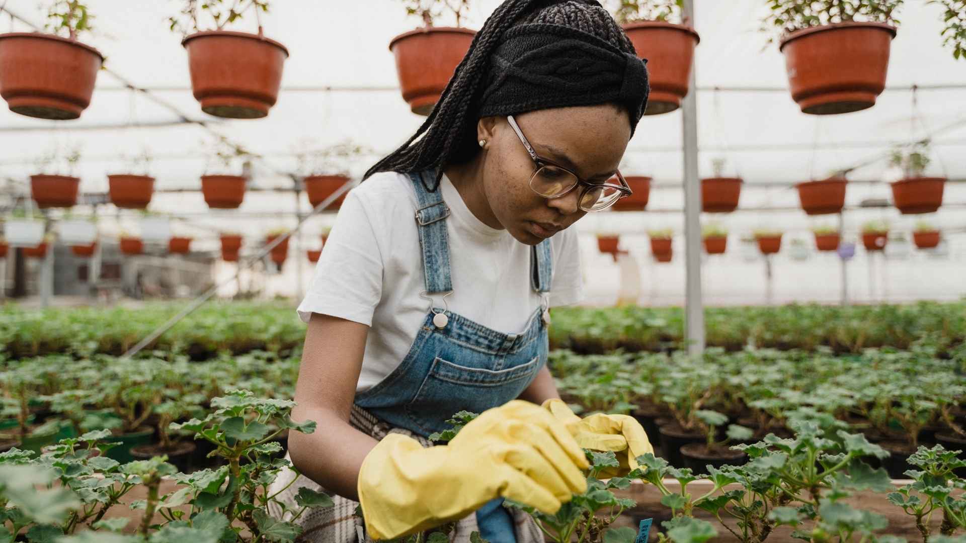 Guide pratique pour créer un jardin d’horticulture biologique à la maison